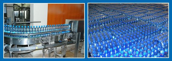 Emmytua Global Integrated International Limited 